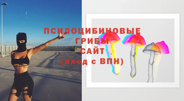 стаф Верея