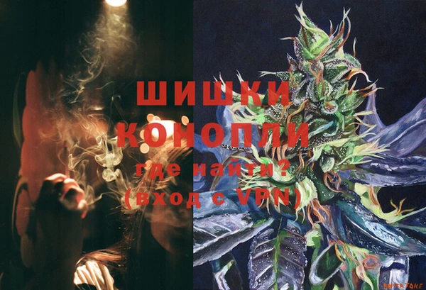 стаф Сосновка