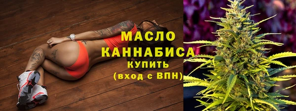 стаф Верея