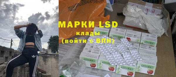 стаф Верея