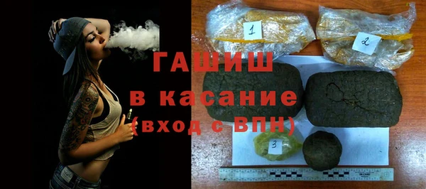стаф Верея
