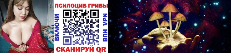 закладки  Владикавказ  Галлюциногенные грибы MAGIC MUSHROOMS 