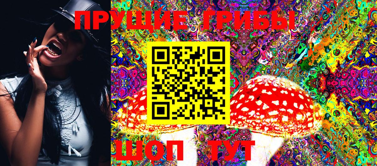 Псилоцибиновые грибы мицелий Владикавказ