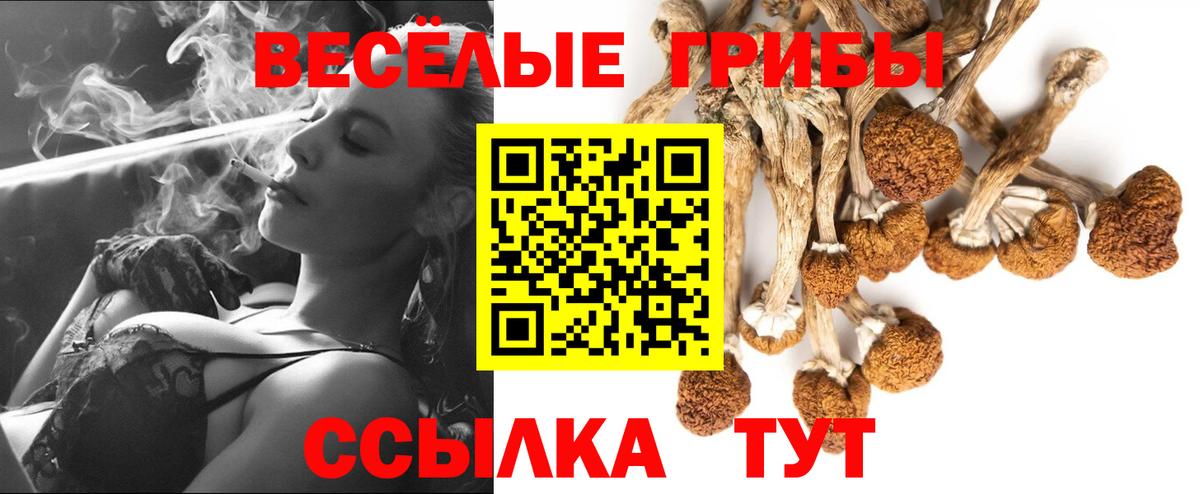 Владикавказ  Галлюциногенные грибы Psilocybine cubensis  Вход с VPN 